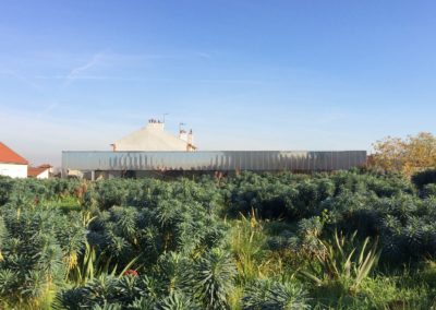 Reconstruction du Gymnase du Collège Marguerite Duras – Colombes (92)
